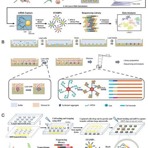 Overview Of Microfluidic Single‐cell Multiomics Analysis By Integrating