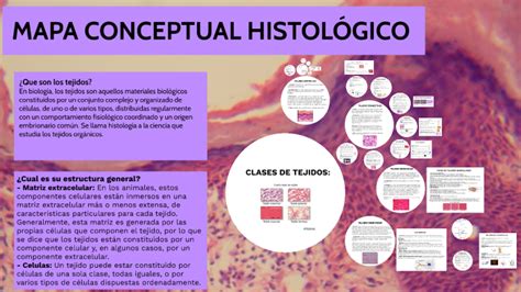 Mapa Conceptual De La Histologia Mapasense Sexiz Pix