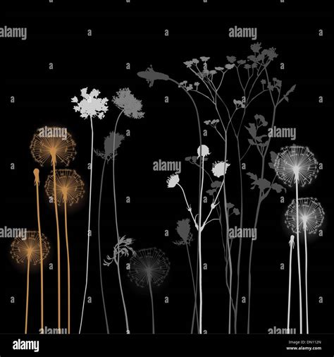 Planta De Clima Im Genes Vectoriales De Stock P Gina Alamy