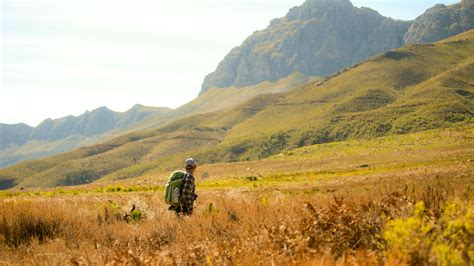 Jonkershoek Nature Reserve | South Africa | Wild Safari Guide