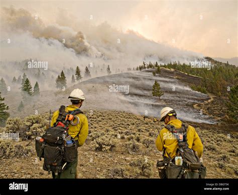 Us Forest Service Hotshot Firefighters Work To Contain The Lodgepole Fire In The Salmon Challis