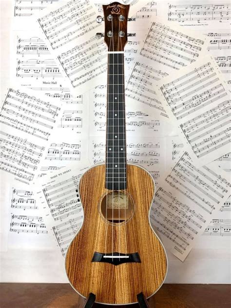 Snail Tenor Ukulele Ukt Eq Electro Acoustic Zebrawood