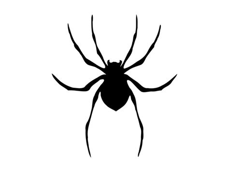 Scary Spider Drawing | Free download on ClipArtMag