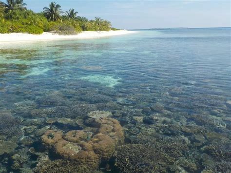 Maldivas Tendr La Primera Ciudad Flotante Del Mundo Eltiempo Es