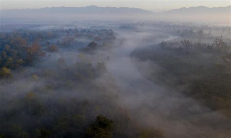 Bardia National Park_Nepal | Photos | WWF