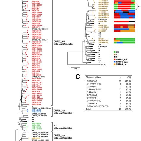 Molecular Epidemiology Of Hiv Infections In Koforidua Ghana Hiv