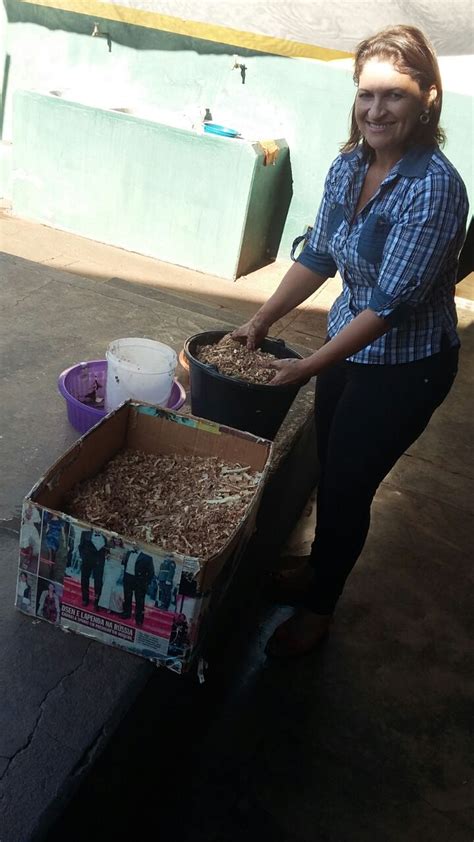 Compostagem e Reciclagem na educação infantil esse é o exemplo do