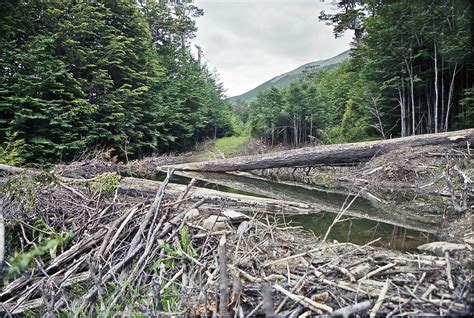 Etonnants Barrages Terre De Feu Patagonie Routard