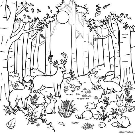 Animais Na Floresta Para Colorir - Desenhos Para Colorir De Animais Da Floresta