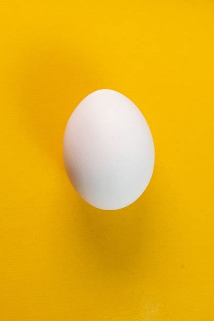 photo egg   yellow background