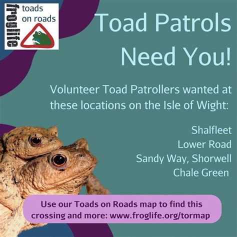 Toad Patrollers Needed To Protect Island Amphibians As They Cross The