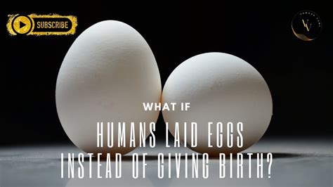 What If Humans Laid Eggs Instead Of Giving Birth YouTube