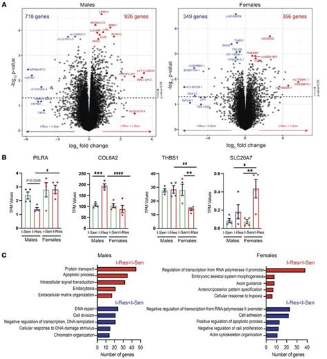 Jci Interactions Among Insulin Resistance Epigenetics And Donor Sex In Gene Expression