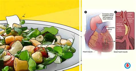 7-Day Vegetarian Meal Plan - Diabetes Health Page