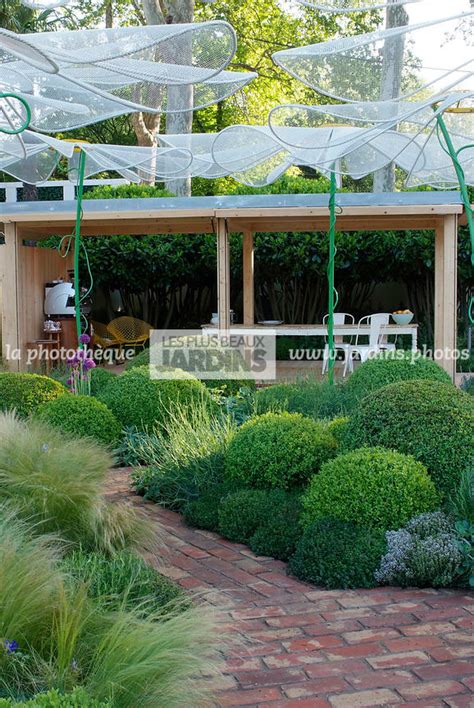 La Phototh Que Les Plus Beaux Jardins Ball Shaped Buxus