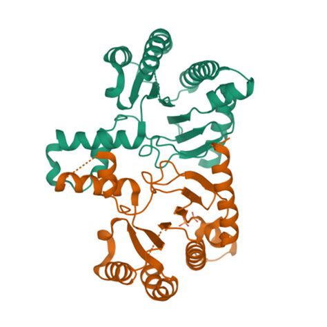 RCSB PDB 2DTN Crystal Structure Of Helicobacter Pylori Undecaprenyl