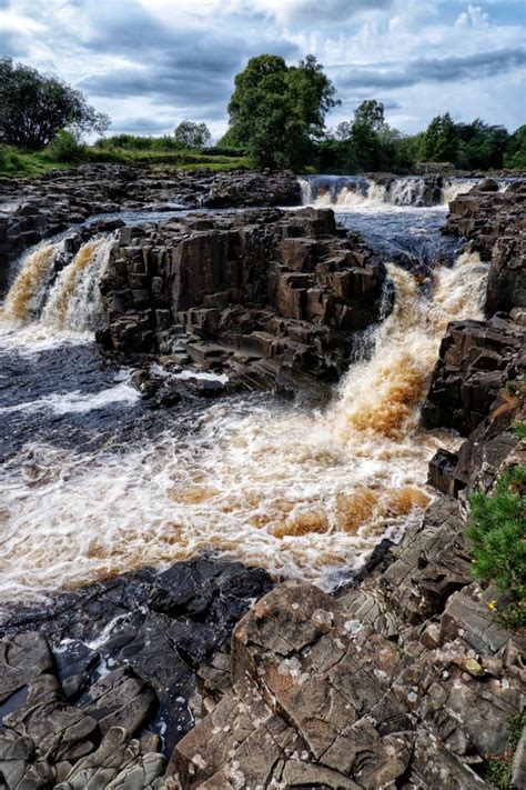 Low Force Tumblr Gallery