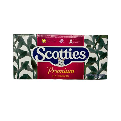 Scotties Facial Tissue 2 Ply Box Of 126 Teachers File