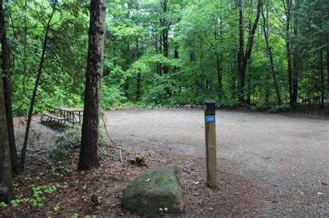 Photo Of Campsite 120 In Hilltop Campground At Bass Lake Provincial Park Ontario Canada