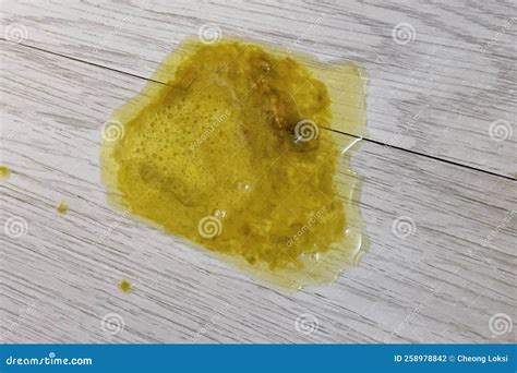 Close Up Of Fresh Cat Vomit With Hairball On Wooden Surface Stock Photo