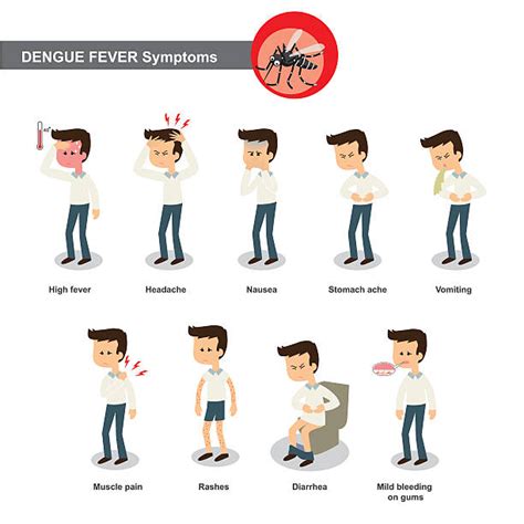 malaria stock illustrations royalty  vector graphics clip