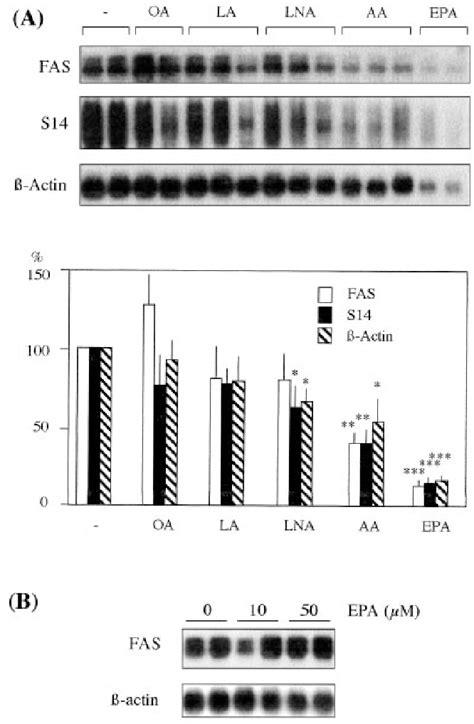 Figure From Polyunsaturated Fatty Acids Inhibit Fatty Acid Synthase