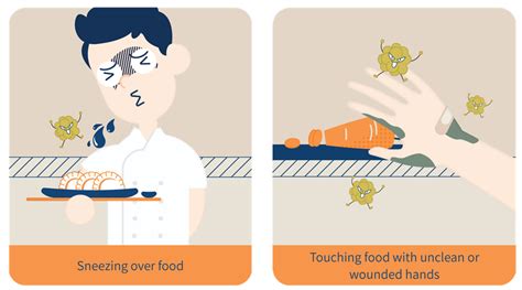 Food Hazards And Food Contamination