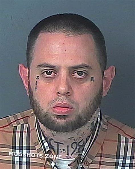 Garone Michael Hernando County Mugshots Zone