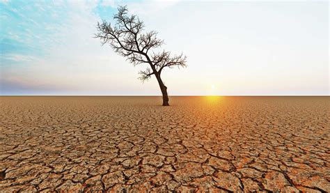 Quand lArabie saoudite vient en ville et achète toute votre eau