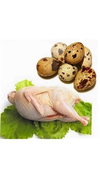 Домашние перепелиное мясо Выращиваю для себя и чуть-чуть на продажу ...