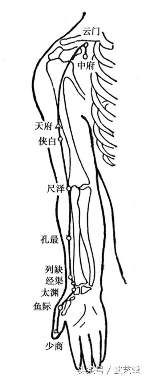 古今十四经脉与穴位 知乎