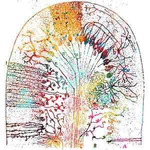 Nerve cell Digital Art by Erzebet S | Fine Art America 