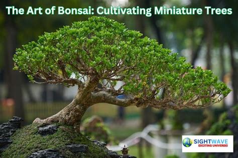 The Art Of Bonsai Cultivating Miniature Trees Insight Wave