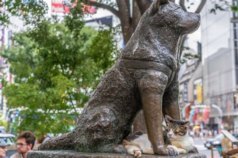 A Cat Resting On The Hachiko Dog Statue At Shibuya Station Meeting