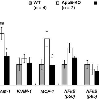 Aortic Gene Expression In Wild Type Wt Apoe Ko And Apoe Ko Pgc