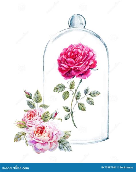 Rose In A Glass Case Stock Illustration Illustration Of Decoration