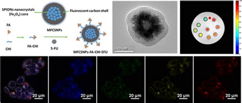 Multifunctional Magneto Fluorescent Nanocarriers For Dual Mode Imaging