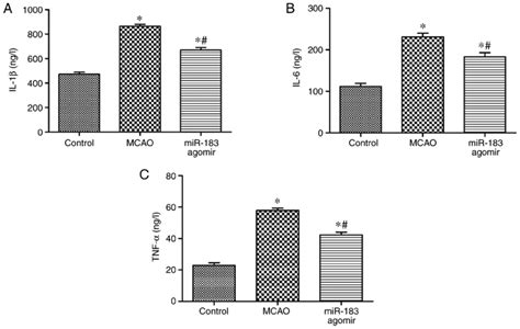 Expression of inflammatory factors IL 1β IL 6 and TNF α in brain