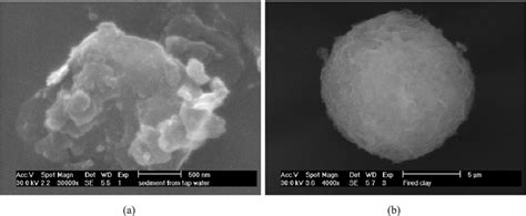 Sem Micrographs Of Waste Sediment A Before Spray Drying B After