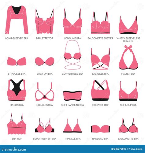 Types Of Bras Big Vector Set Of Pink Lingerie Stock Vector