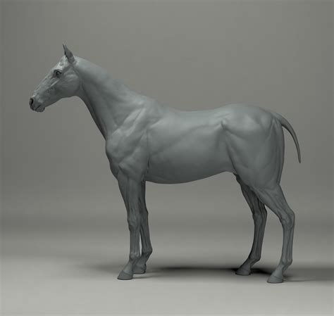 Artstation Horse Study