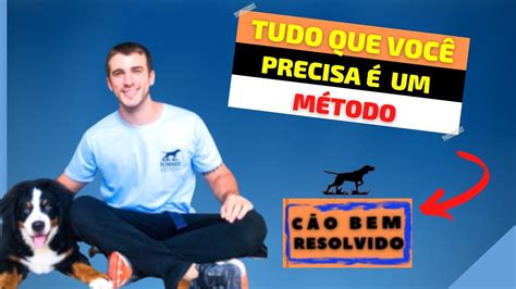 Cão Bem Resolvido é Bom Cão Bem Resolvido Curso Cão Bem Resolvido