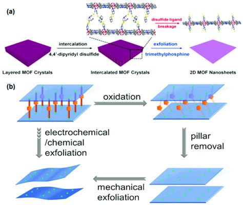 A Depiction Of The Intercalation And Chemical Exfoliation Method For