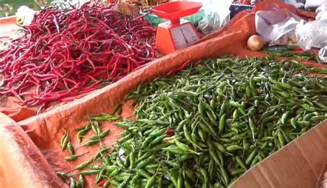 Harga Cabai Makin Pedas Cabai Merah Dan Rawit Merah Tembus Rp 100 Ribu Kg