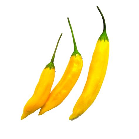 Pepper Hot Lemon Rise Gardens