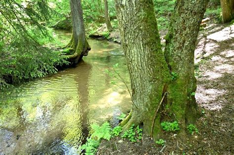 Teufelstisch Ausflugsziel Wanderung im Pfälzerwald People Abroad