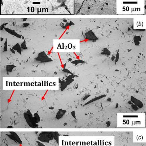 Typical Optical Micrographs Of As Cast A Base Alloy B Wt And