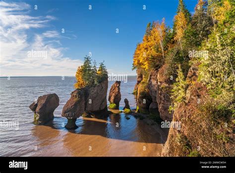 Sea Stacks And Cliffs At The Hopewell Rocks In Hopewell Rocks