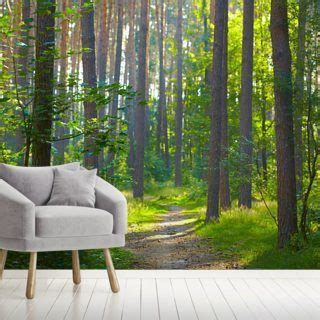 Forest Wallpaper Tree Wallpaper Murals Wallsauce Us Tree Wallpaper