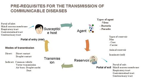 The Silent Spread Decoding The Chain Of Communicable Disease